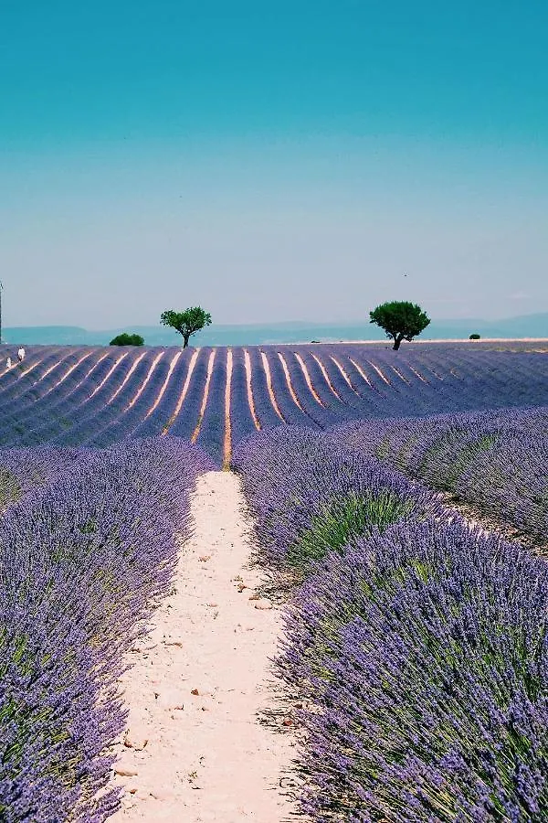 Chambre Raisin 2P, Pour 2 Nuits Max, A 6Km Du Festival De Piano De La Roque D'Antheron A 100M De La Piscine Rognes Отель типа 